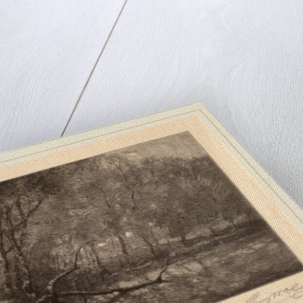 The Mill Pond by Henry Wolf