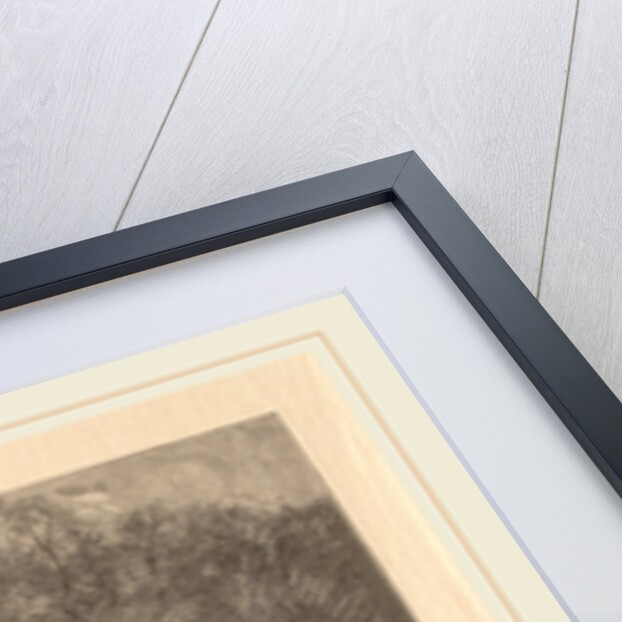 The Mill Pond by Henry Wolf