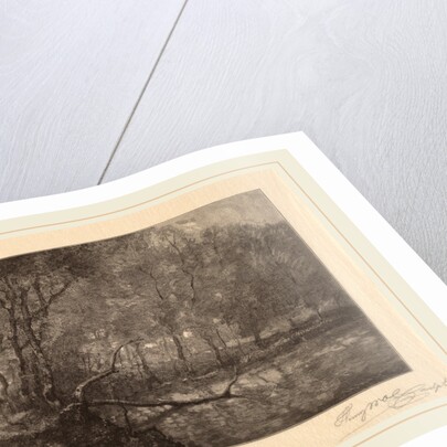 The Mill Pond by Henry Wolf