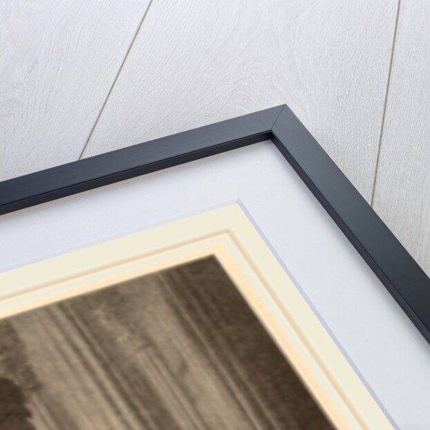 Marchesa Elena Grimaldi, Wife of Marchese Nicola Cattaneo by Timothy Cole