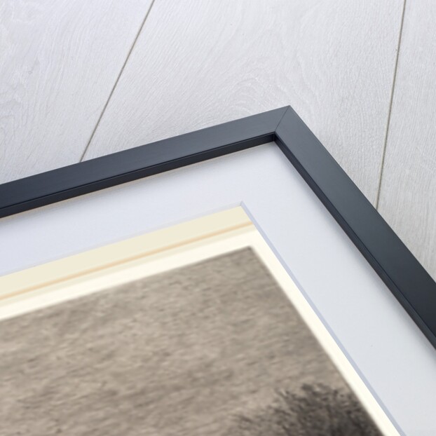 Village Street in France With a Flock of Sheep by Joseph Foxcroft Cole