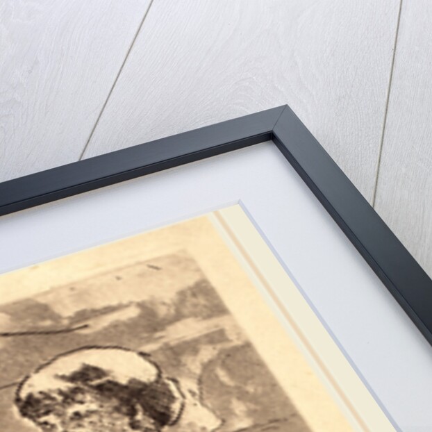 In the Opera Box by Mary Cassatt