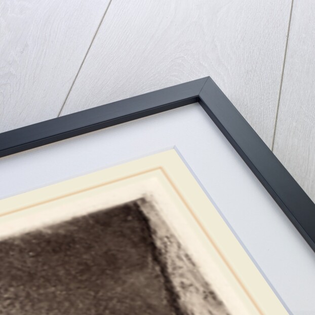 Waiting by Mary Cassatt