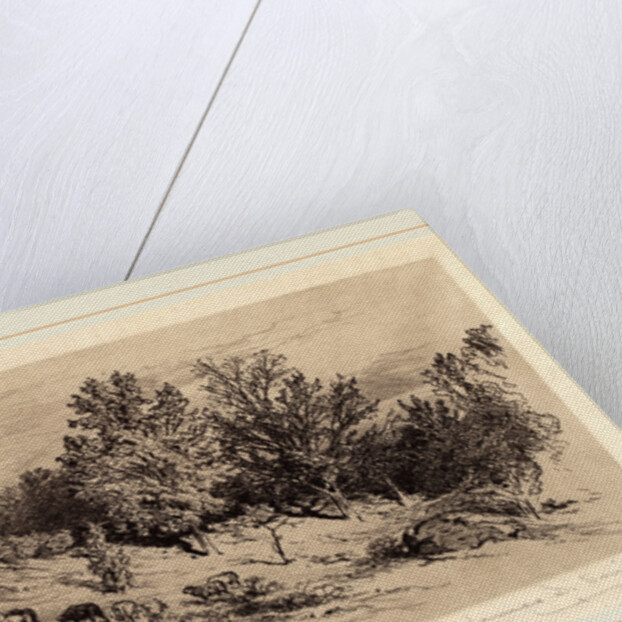 A Fallow Field by James David Smillie