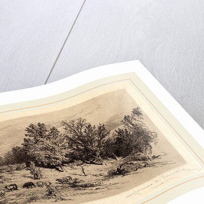 A Fallow Field by James David Smillie