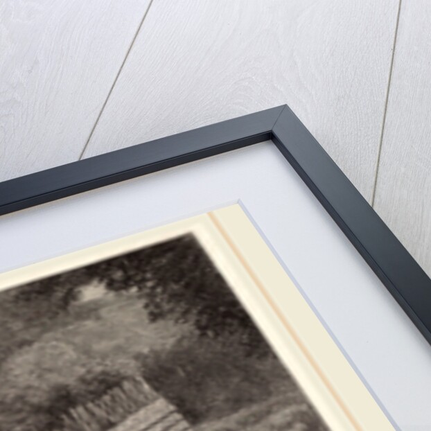 A Duck Pond by Henry Wolf