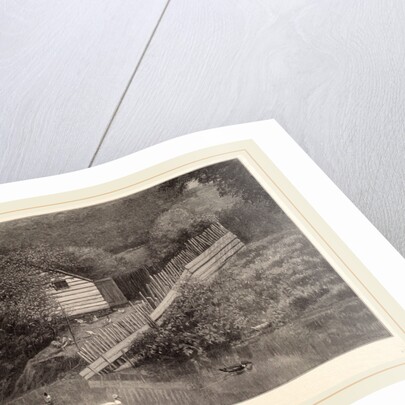 A Duck Pond by Henry Wolf