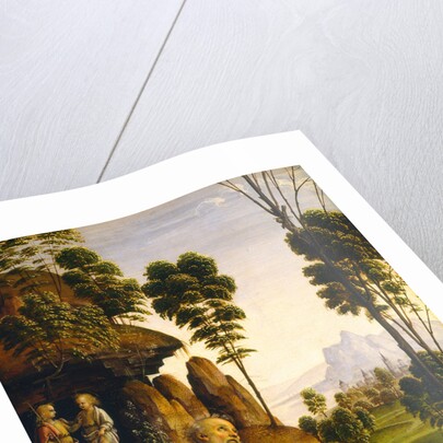 Saint Jerome in the Wilderness by Follower of Pietro Perugino
