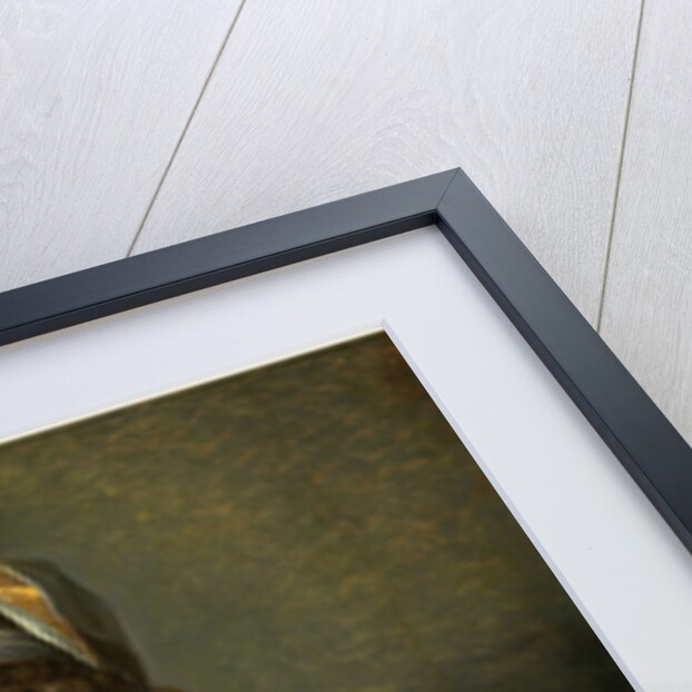 Madame d'Aguesseau de Fresnes, 1789 by Elisabeth-Louise Vigée Le Brun