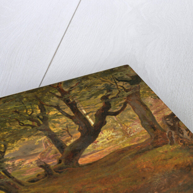 View of Bregentved Forest, Sjaeeland, mid 1830s by Frederik Sødring