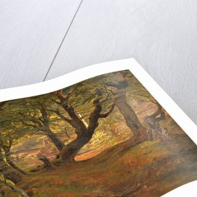 View of Bregentved Forest, Sjaeeland, mid 1830s by Frederik Sødring