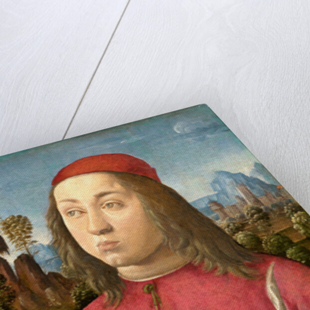 Italian, Portrait of a Youth by Agnolo di Domenico del Mazziere