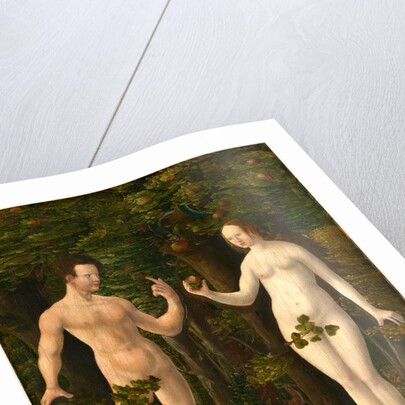 The Fall of Man middle panel, c. 1535, oil on hardboard transferred from panel by Workshop of Albrecht Altdorfer