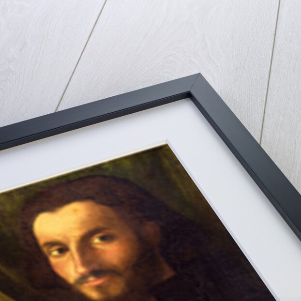 Italian, Portrait of a Man with a Dog, c. 1520 by Cariani