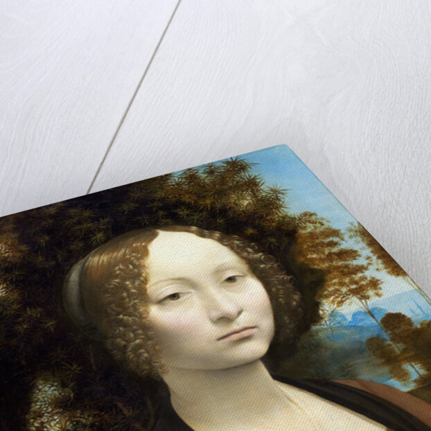 Italian, Ginevra de' Benci obverse by Leonardo da Vinci