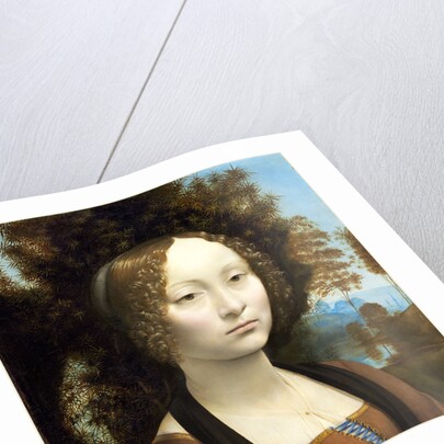 Italian, Ginevra de' Benci obverse by Leonardo da Vinci