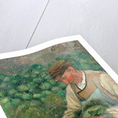The Gardener-Old Peasant with Cabbage by Camille Pissarro