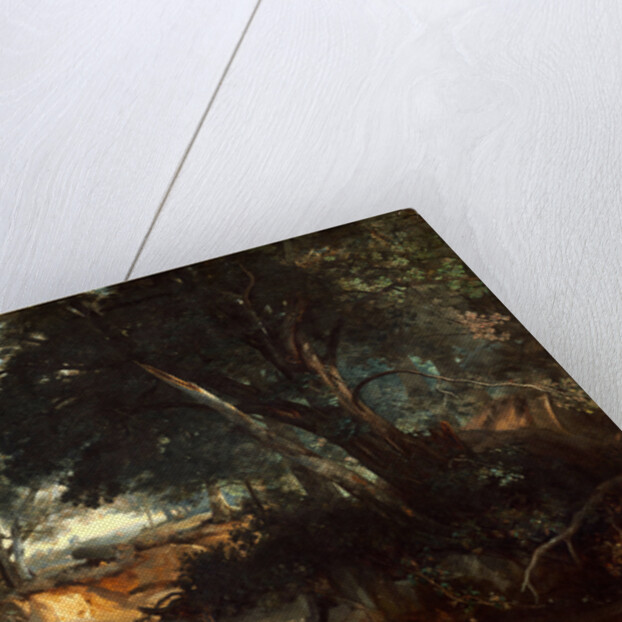 Forest of Fontainebleau, 1834 by Jean-Baptiste-Camille Corot