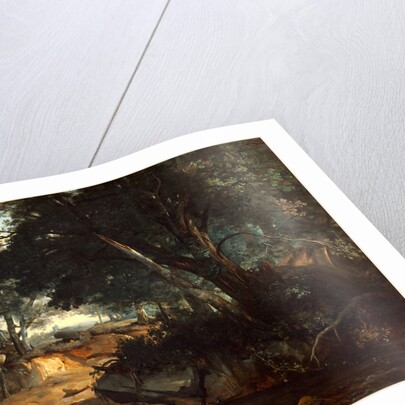 Forest of Fontainebleau, 1834 by Jean-Baptiste-Camille Corot