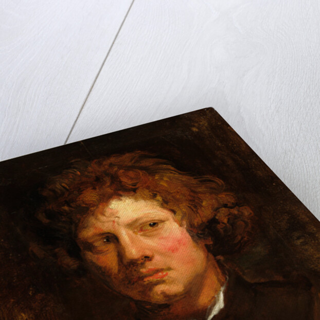 Head of a Young Man by Sir Anthony van Dyck
