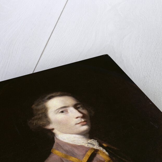 Charles Carroll of Carrollton by Sir Joshua Reynolds