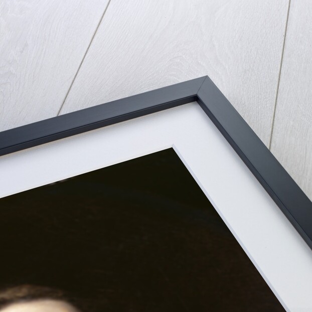 Charles Carroll of Carrollton by Sir Joshua Reynolds