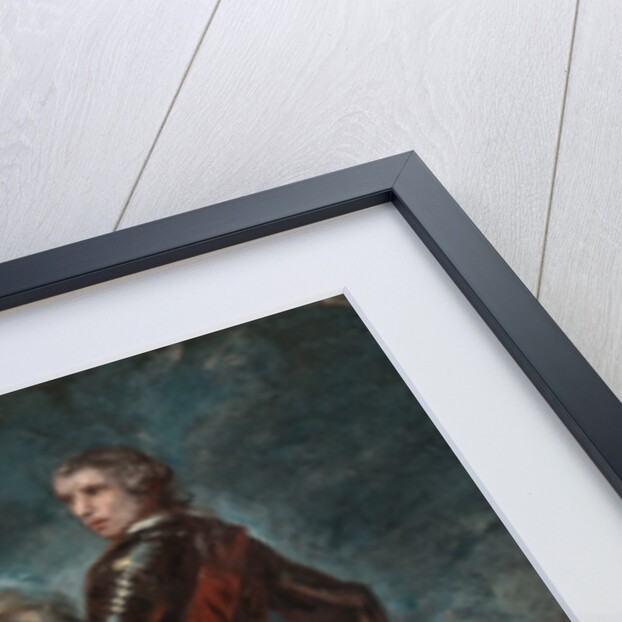 Sir Jeffrey Amherst by Sir Joshua Reynolds