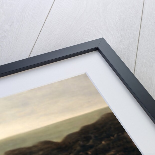 The Island of Barbados A Bird's Eye View of the Island of Barbados by Isaac Sailmaker