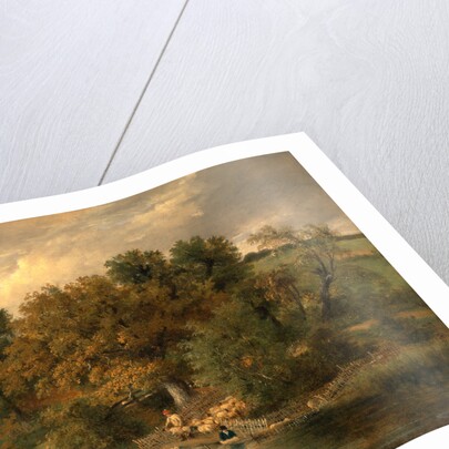 Sheep Washing at Postwick Grove, Norwich by James Stark