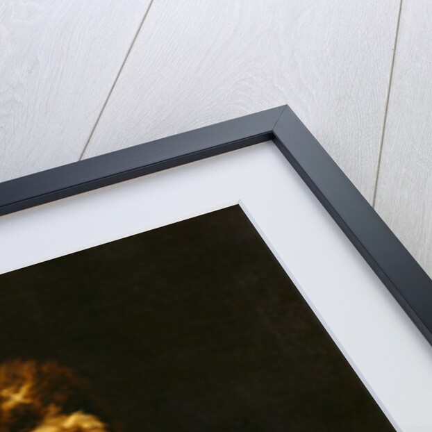 Water Spaniel by George Stubbs