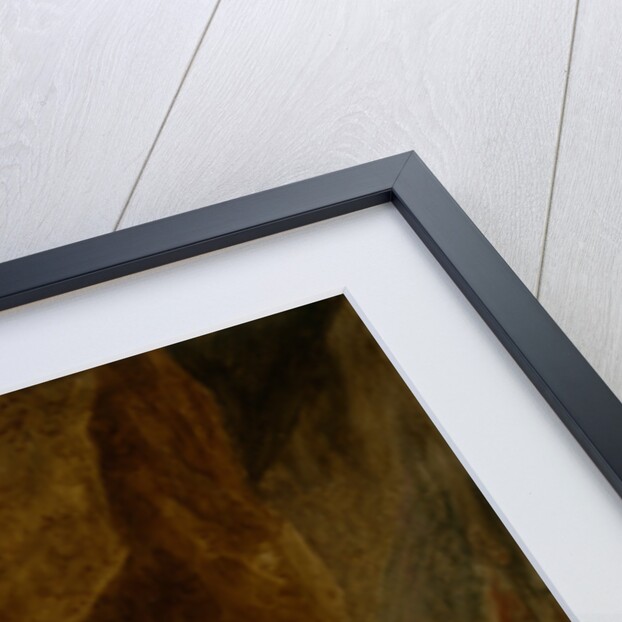 A Scene from Don Quixote (Vol.II, Ch.XXIII) by John Vanderbank