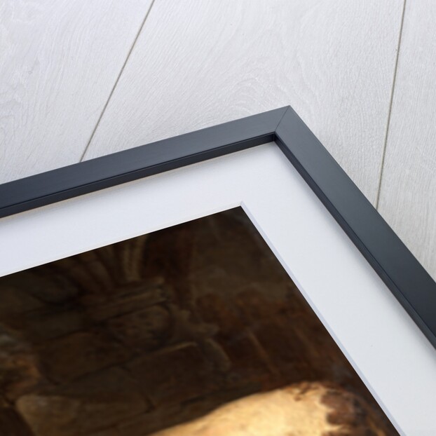 Portraits of two extraordinary oxen, the property of the Earl of Powis by James Ward