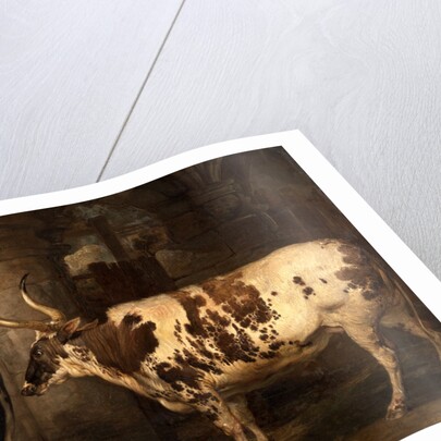 Portraits of two extraordinary oxen, the property of the Earl of Powis by James Ward