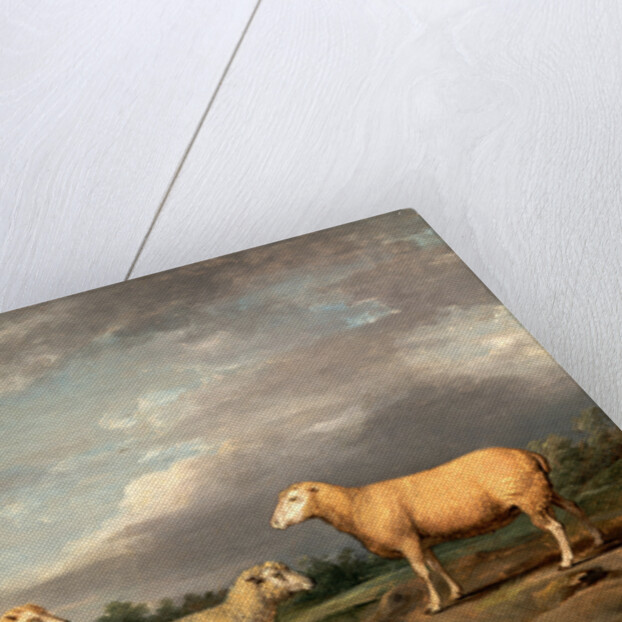 Ryelands Sheep, the King's Ram, the King's Ewe and Lord Somerville's Wether by James Ward