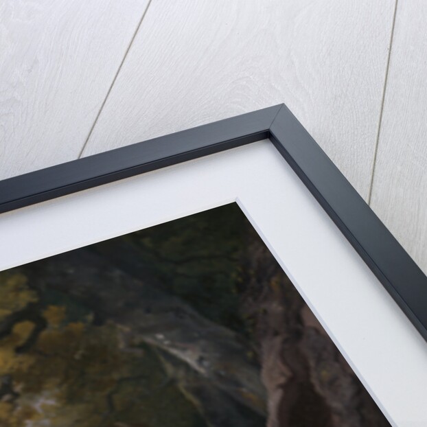 Portrait of a Sportsman with His Son A Sportsman with his Son and Dogs by Francis Wheatley