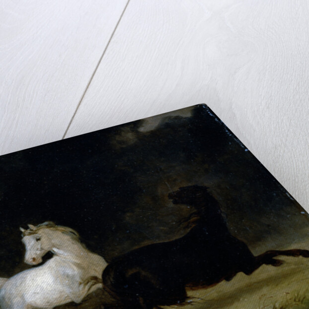 Horses in a Thunderstorm by Thomas Woodward