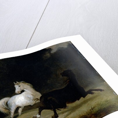 Horses in a Thunderstorm by Thomas Woodward