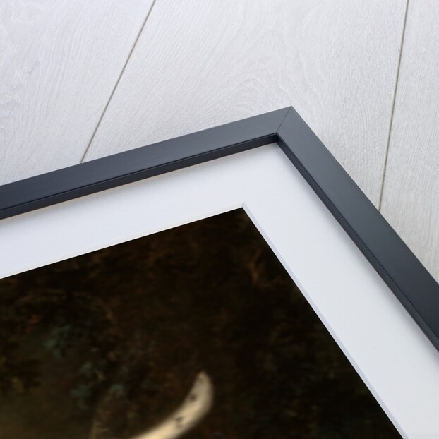 A Grey Spotted Hound by John Wootton