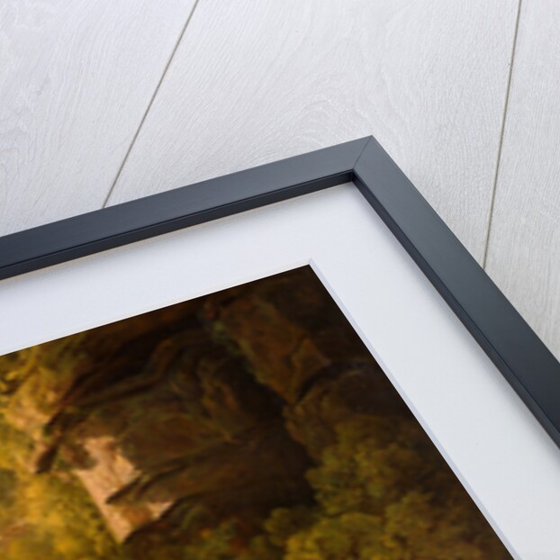 The Mountain Torrent by Francis Danby