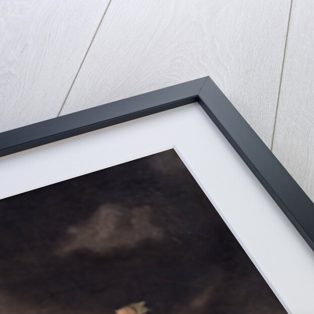 The Fishery, Richard Wright, ca. 1720-ca. 1775 by Richard Wright