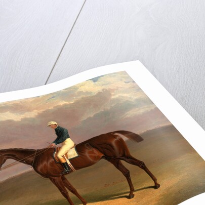 Margrave' with James Robinson Up by John Frederick Herring