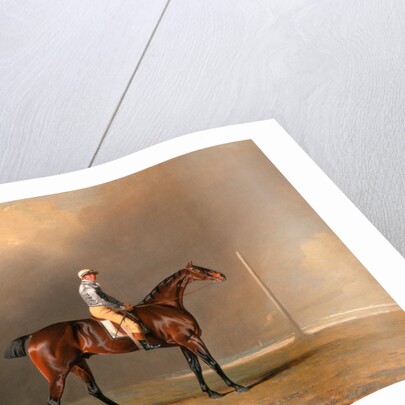 Diamond, with Dennis Fitzpatrick Up by Benjamin Marshall