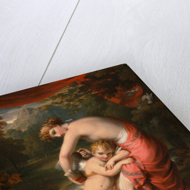 Venus and Cupid by Henry Howard