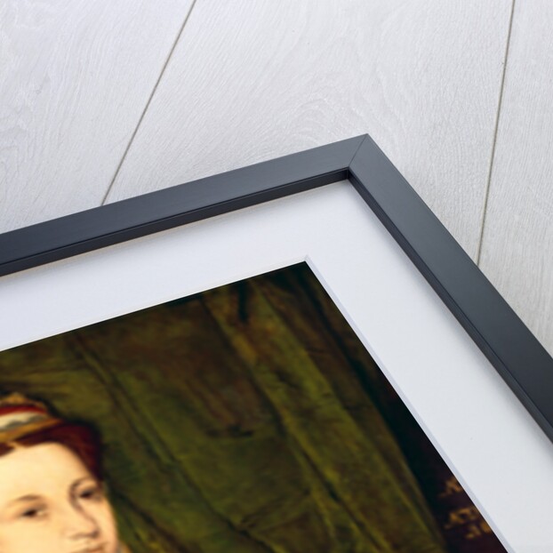 Portrait of a woman, aged sixteen, previously identified as Mary Fitzalan, Duchess of Norfolk, 1565 by Hans Eworth