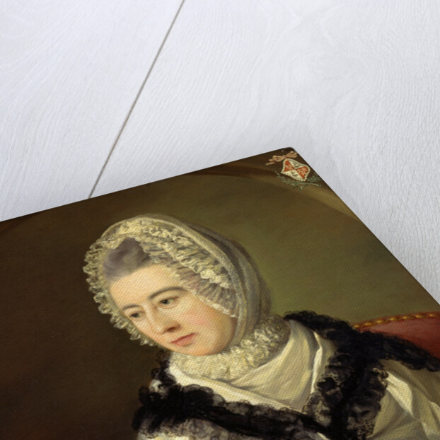 Portrait of a Lady by John Russell