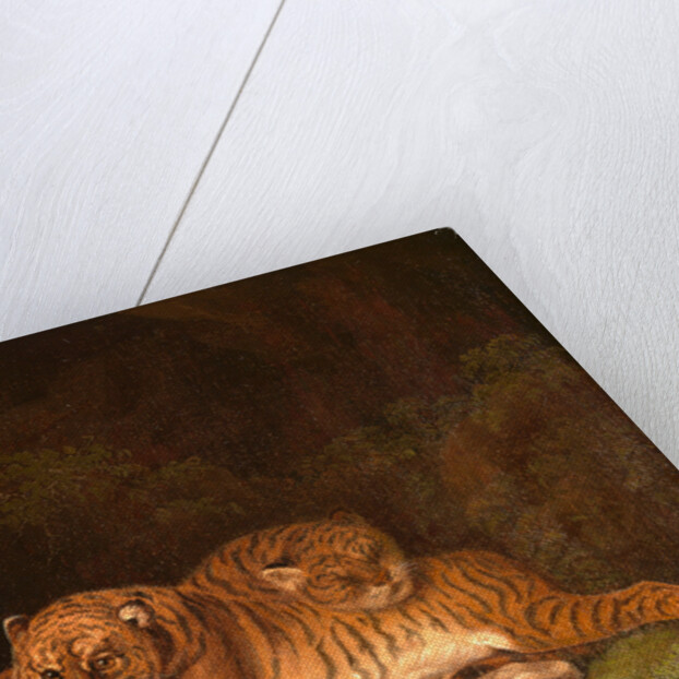 Tigers by Charles Towne