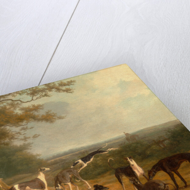 Nine Greyhounds in a Landscape by Jacques-Laurent Agasse