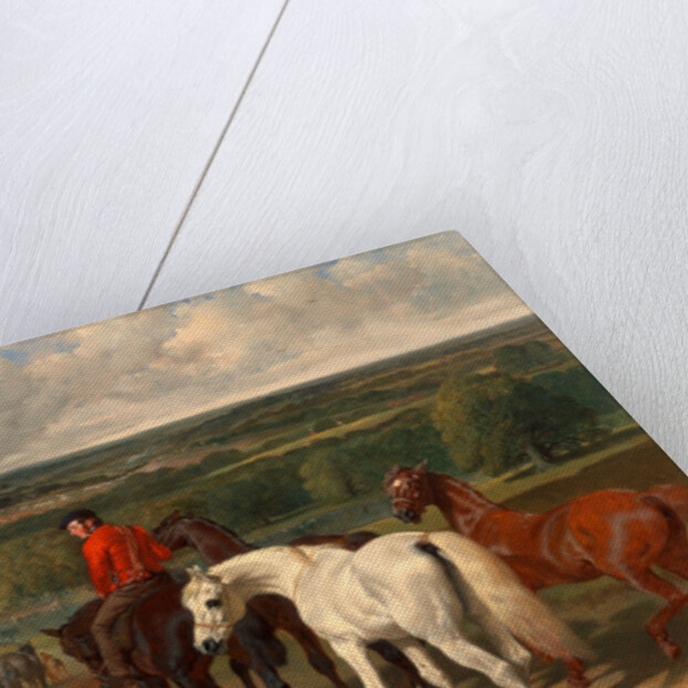 Exercising the Royal Horses by John Frederick Herring