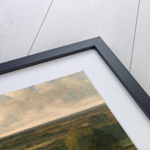 Exercising the Royal Horses by John Frederick Herring