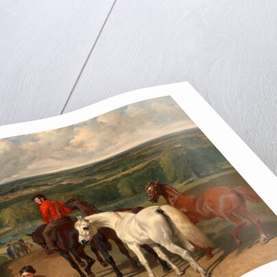Exercising the Royal Horses by John Frederick Herring